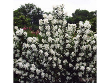 �������� ����������� ������.jpg