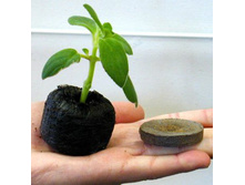 ���������������� ��������