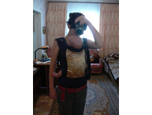 CRISTA����� �����ޣ�