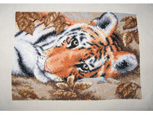 �������� Dim