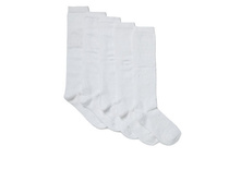 ������� ����� 5 ��� ���. 1481230306