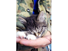 03_podborka_05.jpg