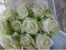 ����-�������