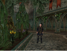 ���� ������