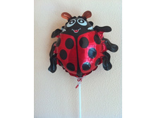 17 ���. ����� �������.jpg