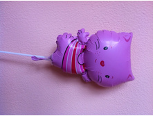 17 ���. ����.jpg