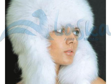 ������ ���. �����