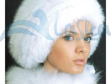 ����� ���. �����