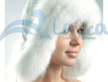 ����� �����+�/����