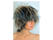 ����-���������