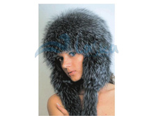 ������ ���.