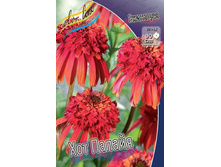 ��������	��� ������