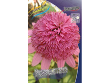 ��������	����������