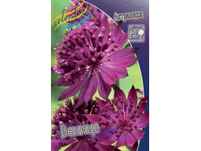 ��������� ������