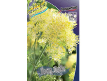 �����������	���� ����