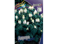 ��������	������