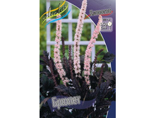 ��������	������