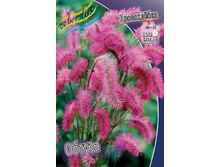 ����������	������