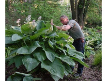 ����� ������� ��