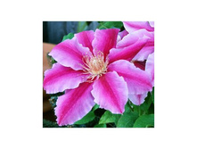 �������� ���. ������