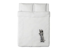 �������� cat