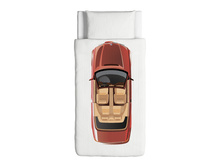 �������� ���� �������