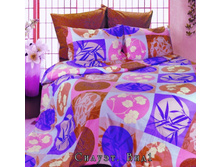 �������� ����1 C�����