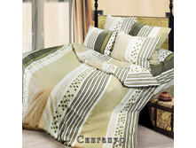 �������� ����1 C�������