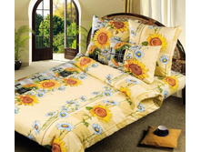 1,5 �������� �������� �������