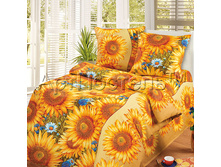 1,5 �������� �������� ��������