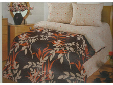 1,5 �������� �������� ���������