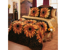 2� �������� �������� ��������� �������� �����.   �������� � ���������� �������-������