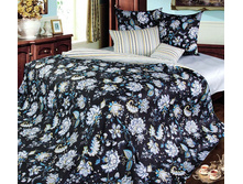  �������� � ���� ������Σ� ������