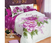 �������� � ���� ������Σ� ������