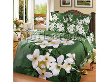 �������� � ���� ������Σ� ����