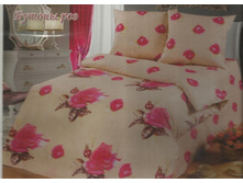 ������ ���