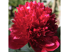 ����	��� ����