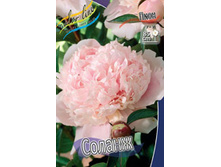 ����	������