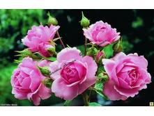 ������-82	