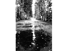 ��������� �����