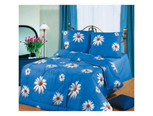 ������ ����������� �������