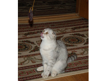 01.06.2012 15:29:27
