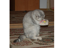 DSC_3245_cr.jpg