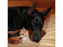 �������� 2 022.jpg