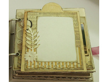 ����������� 657.jpg