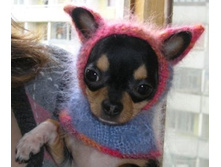 ������� � ������