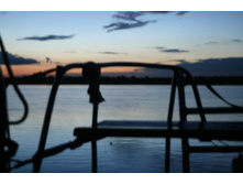 ������...