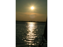 �����... ������