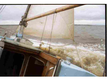 ���� ������������� ����������