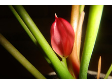 �������� ������� (1).JPG